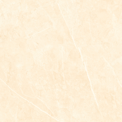 PIEATRA-21.B.660.1664